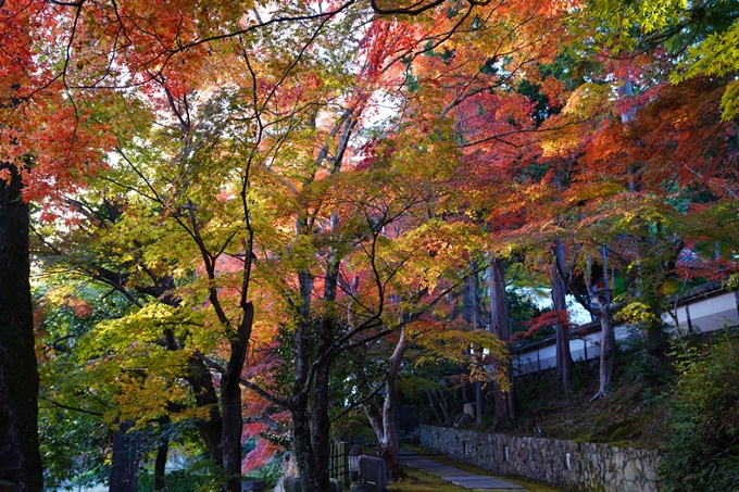 京都の紅葉_2021_13　苗秀寺　No9