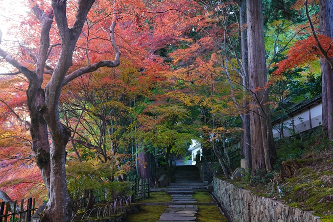 京都の紅葉_2021_13　苗秀寺　No10