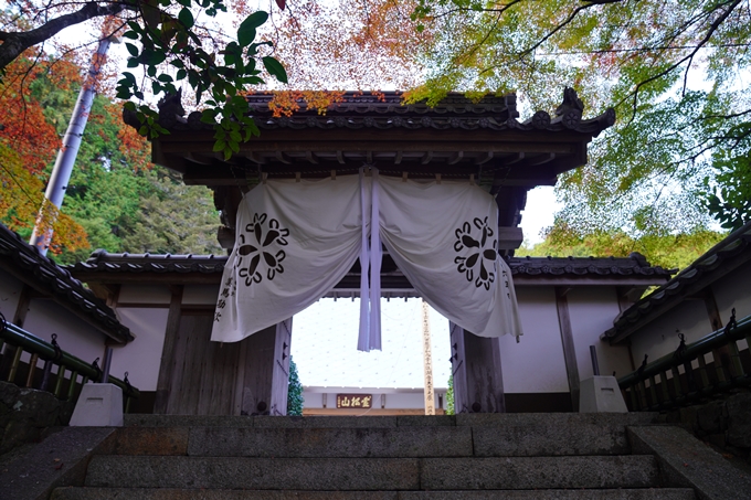 京都の紅葉_2021_13　苗秀寺　No11