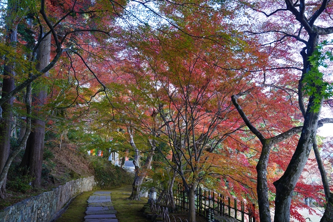 京都の紅葉_2021_13　苗秀寺　No12