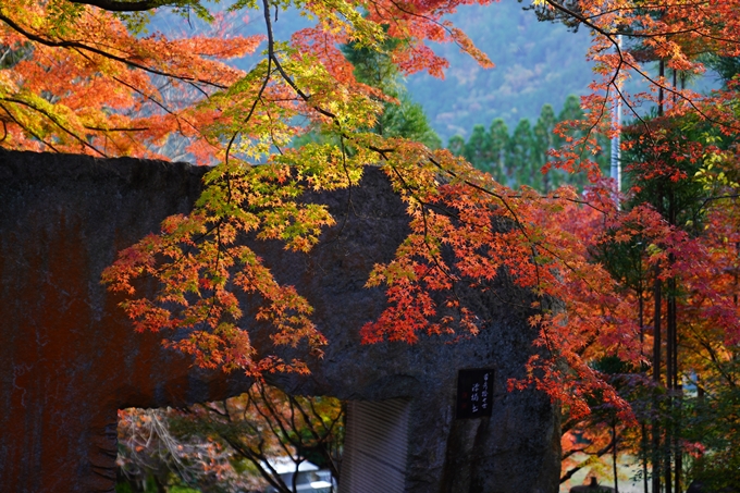 京都の紅葉_2021_13　苗秀寺　No16