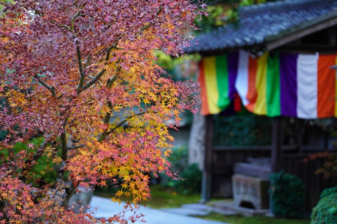 京都の紅葉_2021_13　苗秀寺　No18