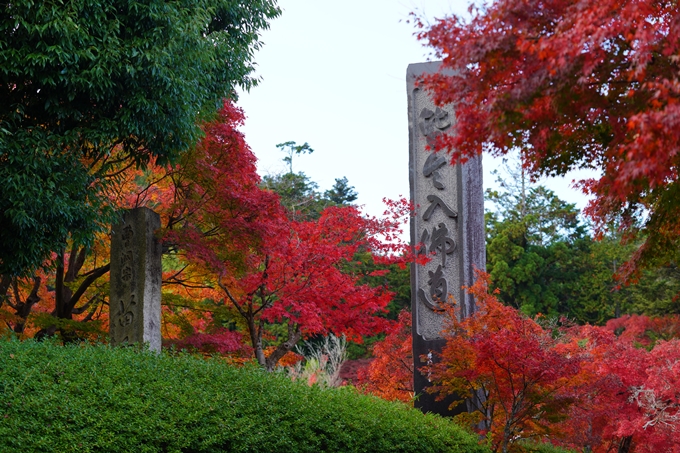 京都の紅葉_2021_13　苗秀寺　No34