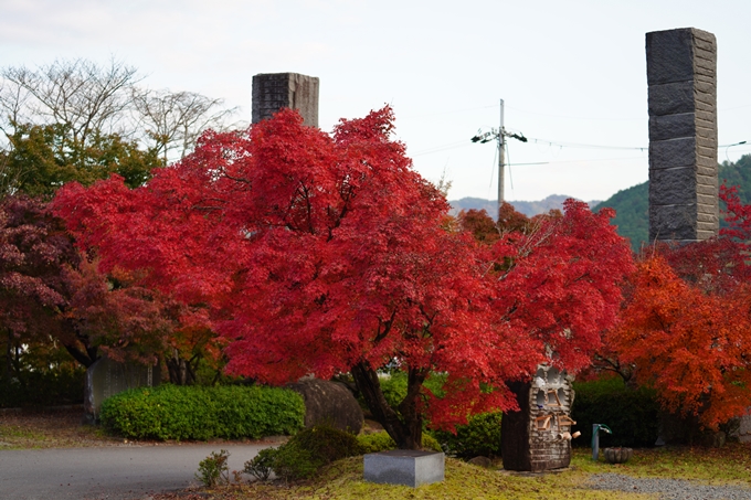 京都の紅葉_2021_13　苗秀寺　No39