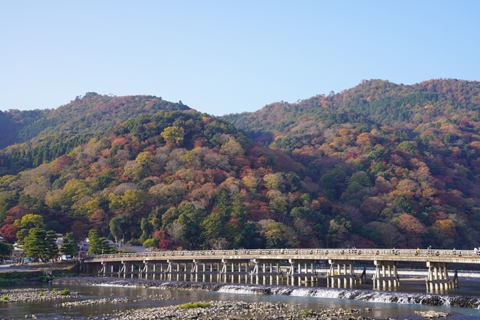 京都の紅葉_2021_14　嵐山公園　No2