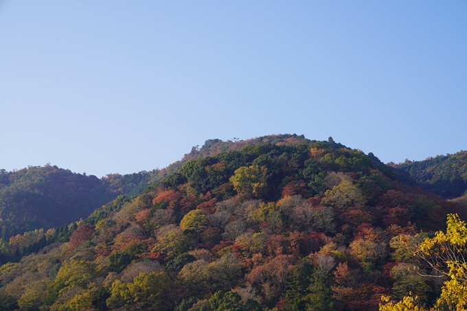 京都の紅葉_2021_14　嵐山公園　No3