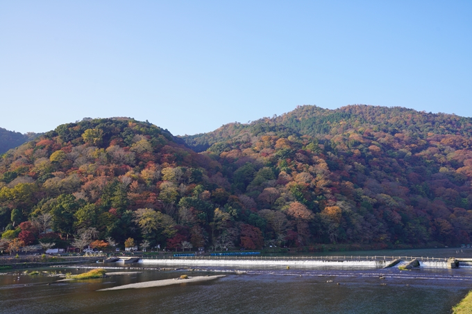 京都の紅葉_2021_14　嵐山公園　No4