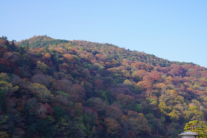 京都の紅葉_2021_14　嵐山公園　No5