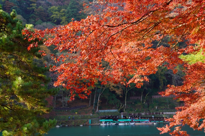 京都の紅葉_2021_14　嵐山公園　No10
