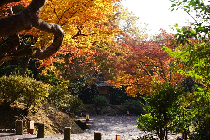 京都の紅葉_2021_14　嵐山公園　No12