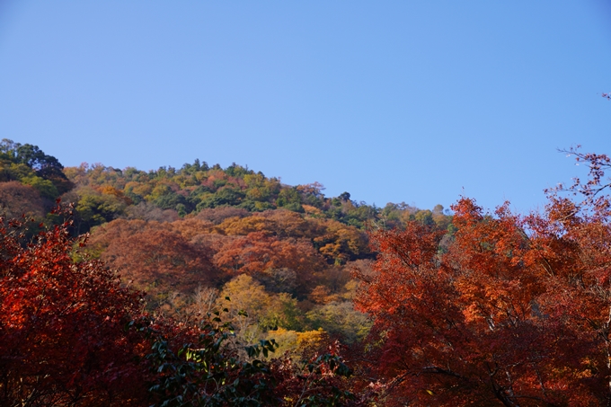 京都の紅葉_2021_14　嵐山公園　No14