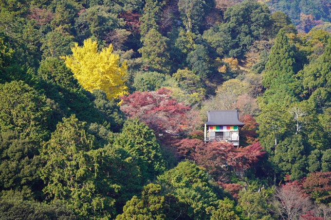 京都の紅葉_2021_14　嵐山公園　No29