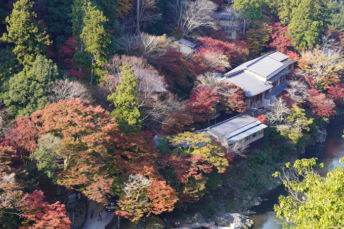 京都の紅葉_2021_14　嵐山公園　No30