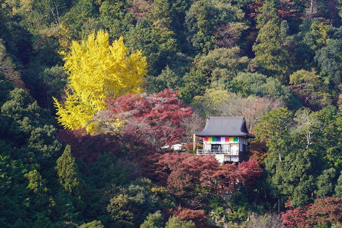 京都の紅葉_2021_14　嵐山公園　No32