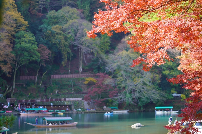 京都の紅葉_2021_14　嵐山公園　No35