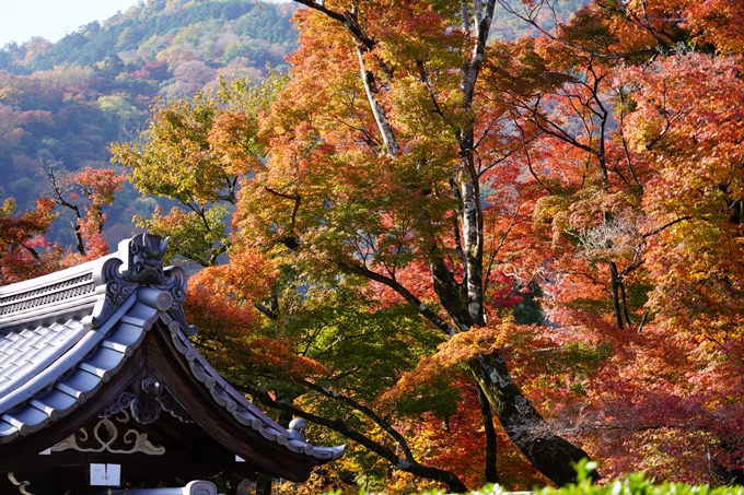 京都の紅葉_2021_14　嵐山公園　No41