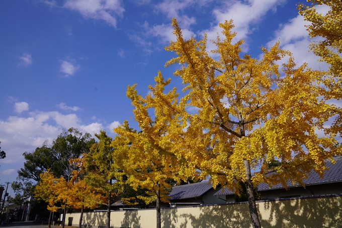 京都の紅葉_2021_15　京都御苑　No2