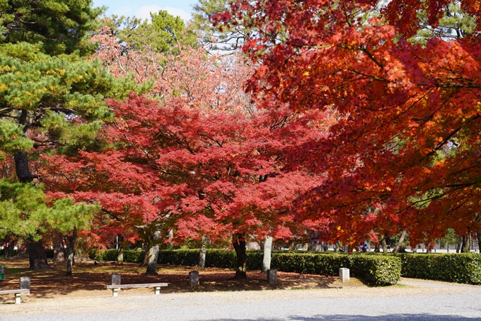 京都の紅葉_2021_15　京都御苑　No10