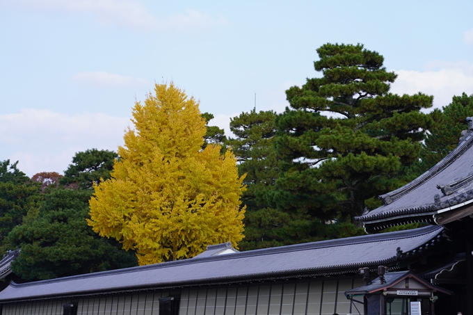 京都の紅葉_2021_15　京都御苑　No18