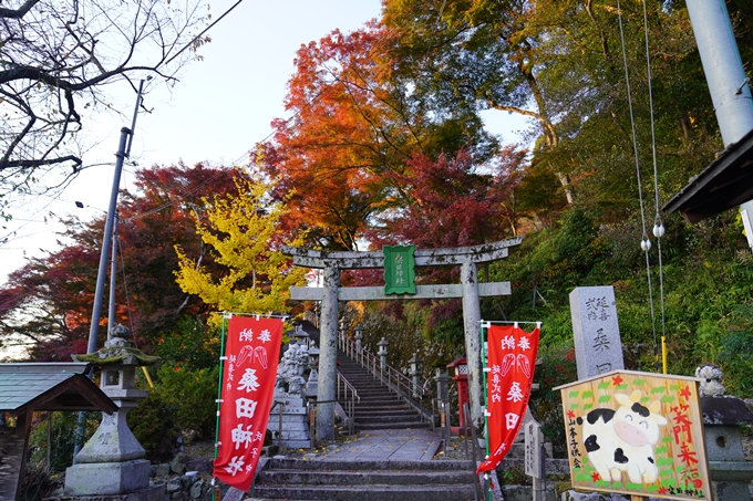 京都の紅葉_2021_16　桑田神社　No2