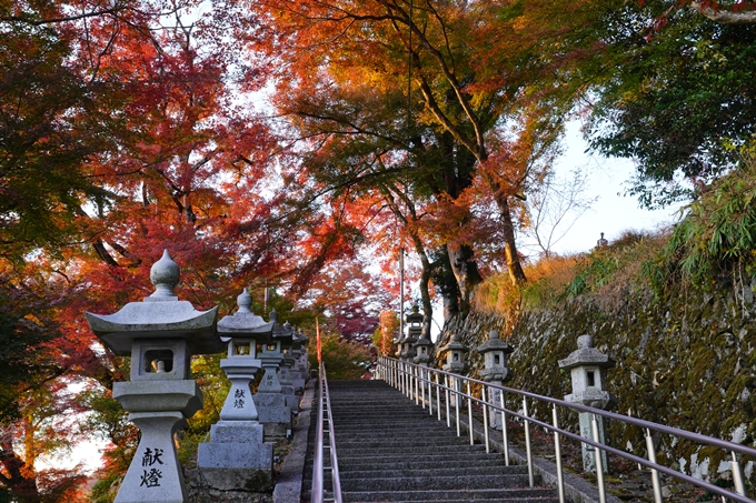 京都の紅葉_2021_16　桑田神社　No8