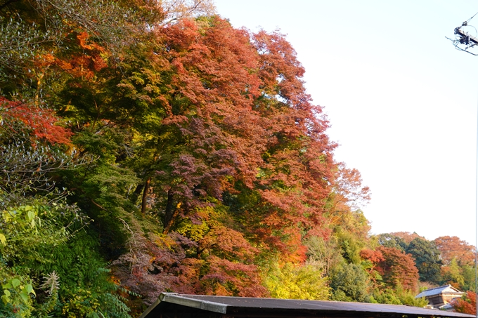 京都の紅葉_2021_16　桑田神社　No9