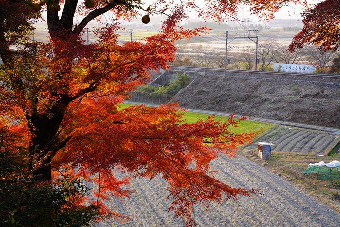 京都の紅葉_2021_16　桑田神社　No10