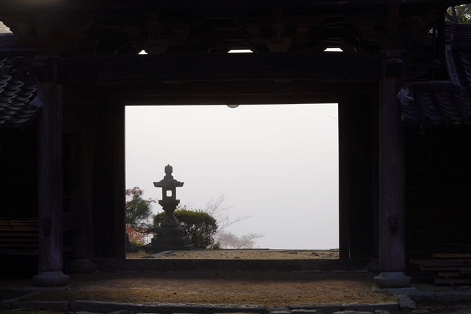 京都の紅葉_2021_17　千手寺_2　No16