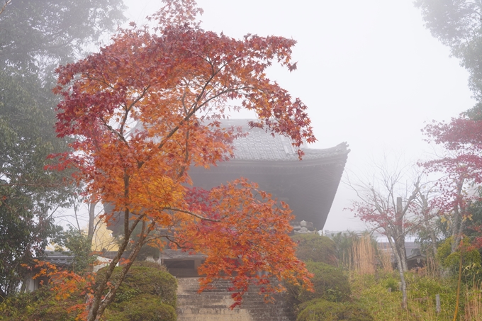 京都の紅葉_2021_17　千手寺_2　No19