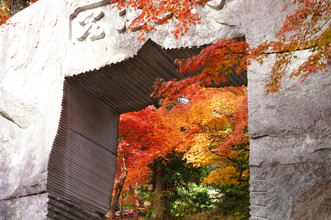 京都の紅葉_2021_18　苗秀寺_2　No13