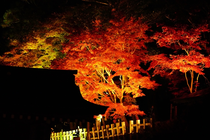 京都の紅葉_2021_19　出雲大神宮　No24