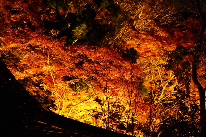 京都の紅葉_2021_19　出雲大神宮　No25