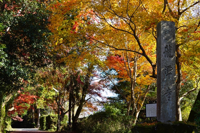 京都の紅葉_2021_20　龍潭寺　No12