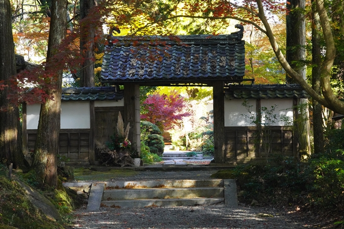 京都の紅葉_2021_20　龍潭寺　No5