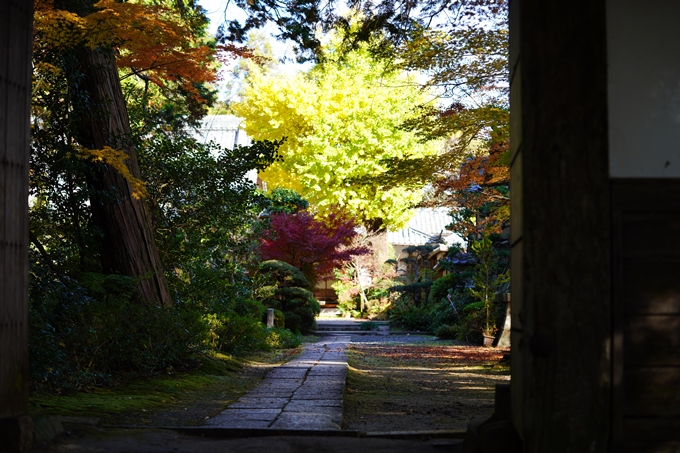 京都の紅葉_2021_20　龍潭寺　No8