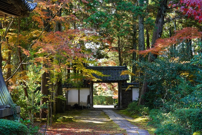 京都の紅葉_2021_20　龍潭寺　No18