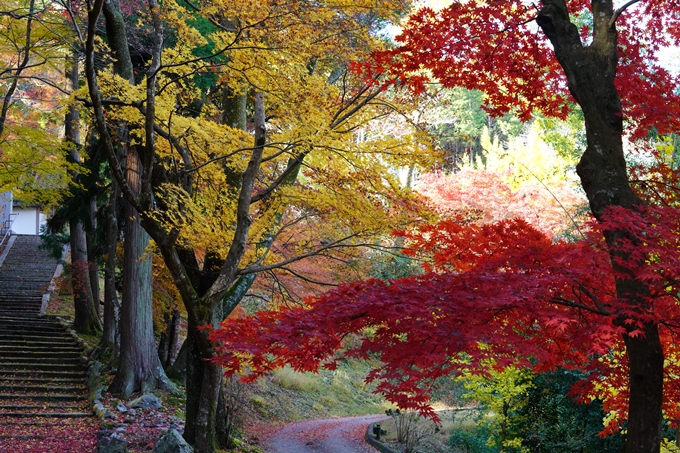 京都の紅葉_2021_22　積善寺　No5