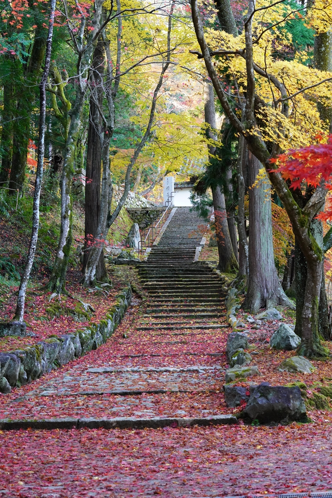 京都の紅葉_2021_22　積善寺　No6