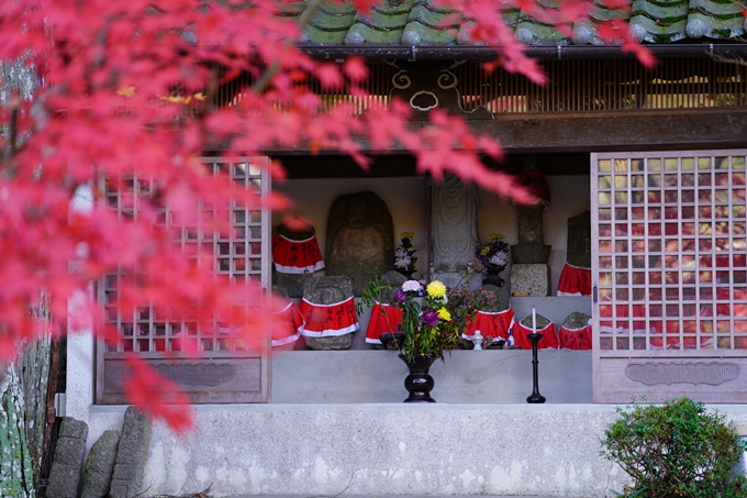 京都の紅葉_2021_22　積善寺　No14