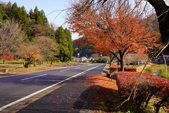 番外編_福井_一乗谷朝倉氏遺跡　No72