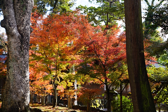 番外編_福井_三国神社　No8