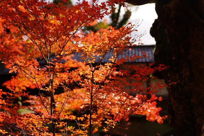 番外編_福井_三国神社　No10