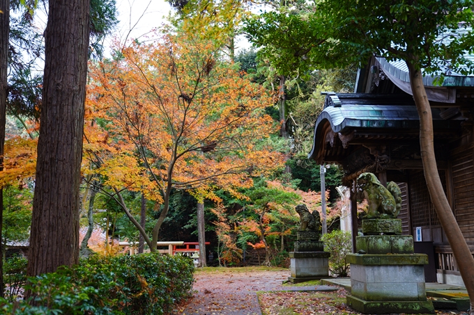 番外編_福井_三国神社　No23