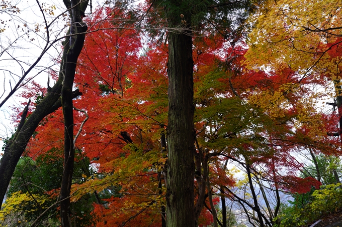 番外編_福井_越前大野城　No14