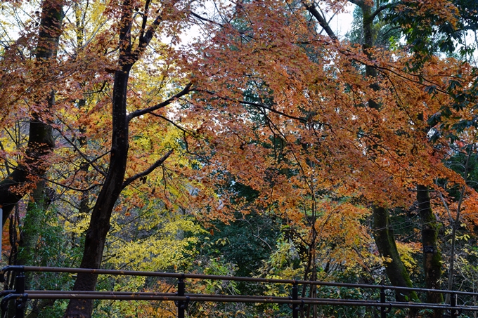 番外編_福井_越前大野城　No15