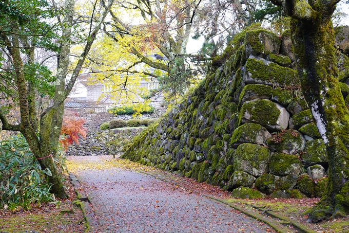 番外編_福井_越前大野城　No24