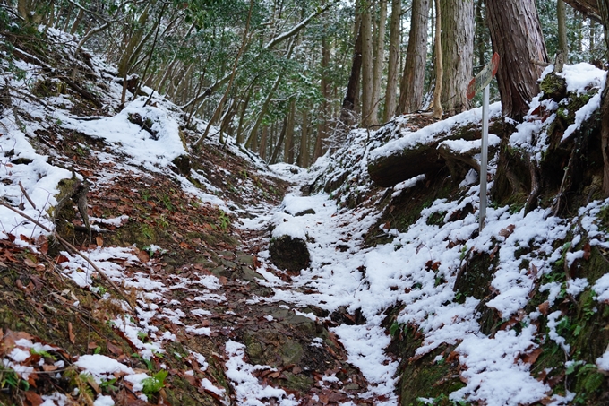 愛宕山_積雪_2022　No12