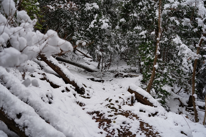 愛宕山_積雪_2022　No15