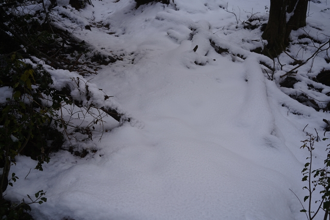 愛宕山_積雪_2022　No17