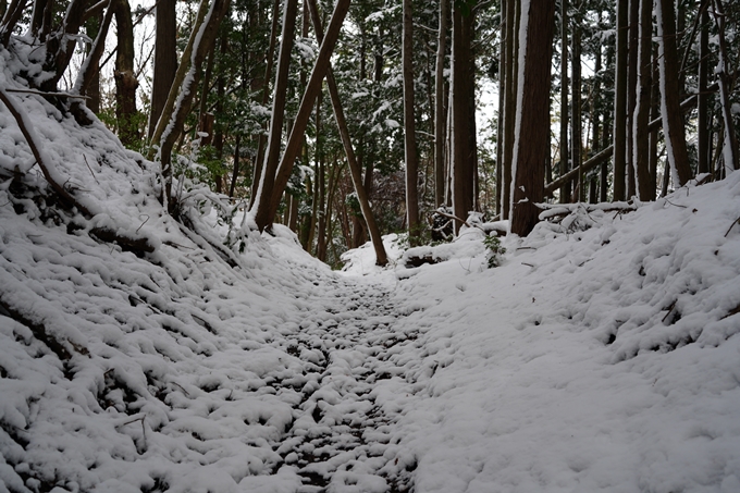 愛宕山_積雪_2022　No22